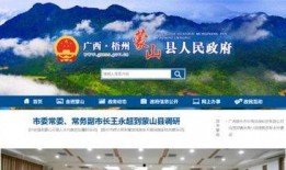 蒙山县爆料网站最新,揭秘神秘事件背后的真相！